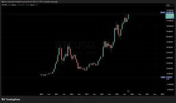 Bitcoin / USD Aylık Grafik Bitcoin / USD Aylık Grafik