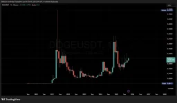 DOGE / USDT Aylık Grafik DOGE / USDT Aylık Grafik