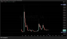 SHIB / USDT Aylık Grafik
