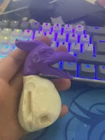 WhatsApp Image 2025-11-28 at 19.04.22.webp